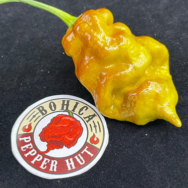 Flaming Nougat - Seeds - The Pepper Pantry (Formerly Marie Sharp's)